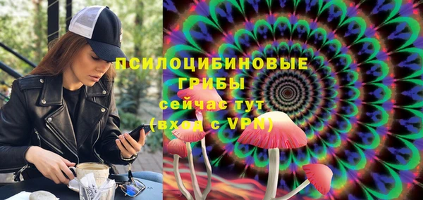 гашик Абдулино