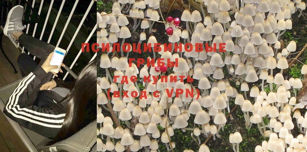 дурь Пересвет