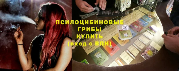 соль ск Абаза