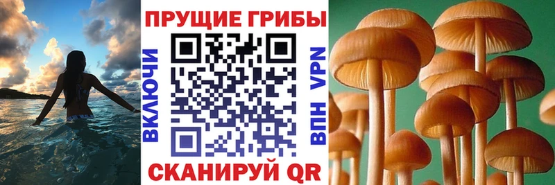 Галлюциногенные грибы ЛСД Стрежевой