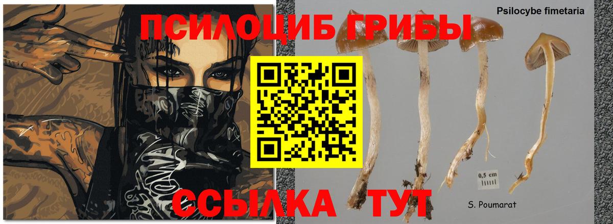 Псилоцибиновые грибы MAGIC MUSHROOMS Стрежевой