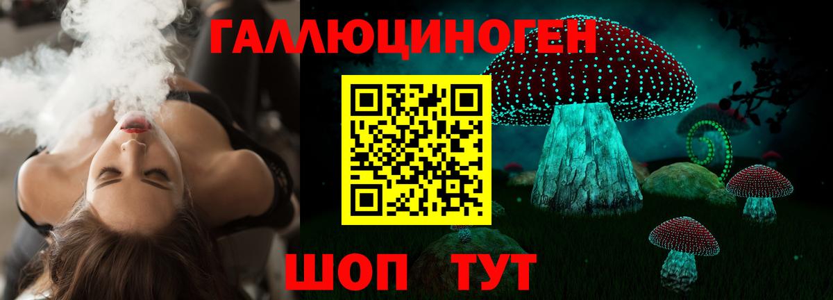 Галлюциногенные грибы ЛСД  купить  цена  Стрежевой  Вход с VPN  Галлюциногенные грибы Magic Shrooms 